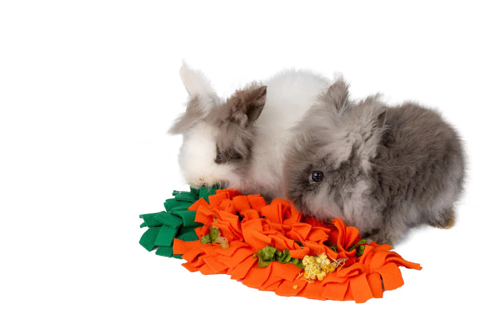 House of Paws Small Animal Carrot Snuffle Patch