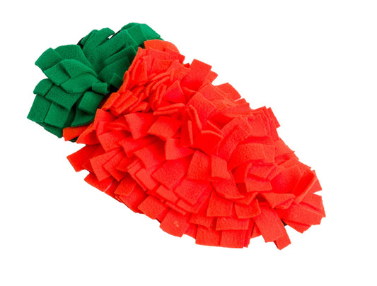 House of Paws Small Animal Carrot Snuffle Patch
