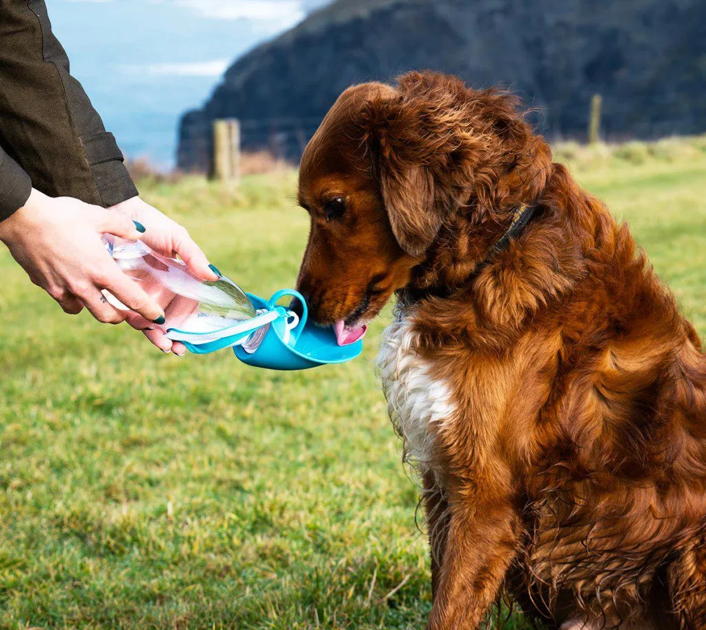 Henry Wag Pet Water Bottle - Blue