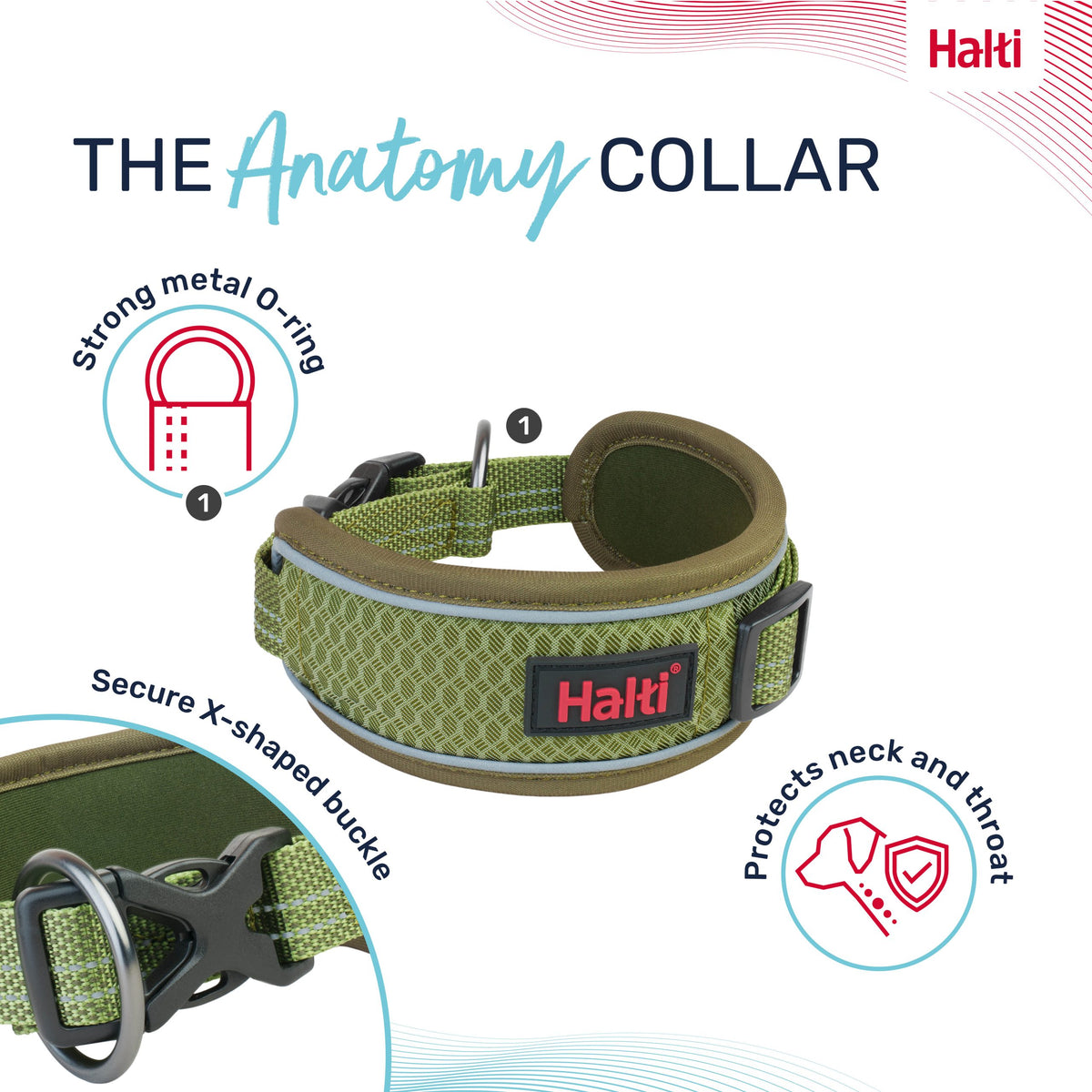 Company Of Animals Halti Anatomy Collar Wide Green