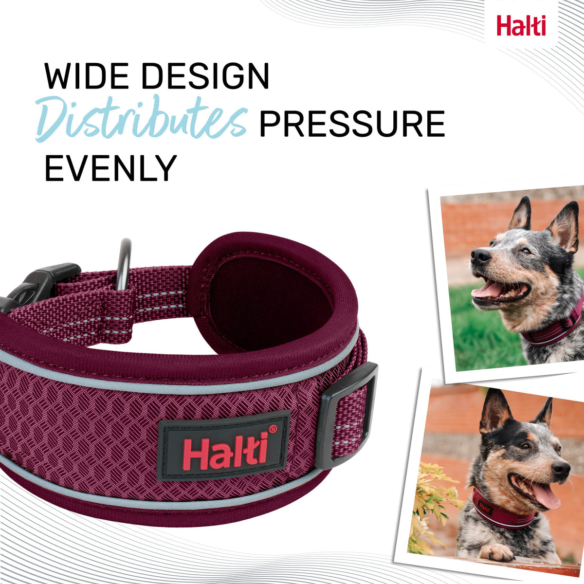 Company Of Animals Halti Anatomy Collar Wide Magenta