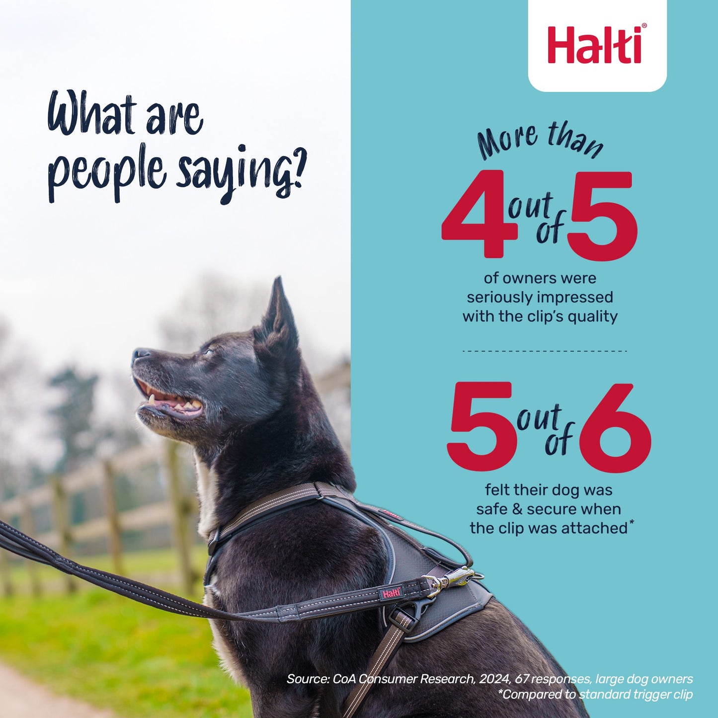 Company of Animals Halti BRIG Safety Lead Black - Large