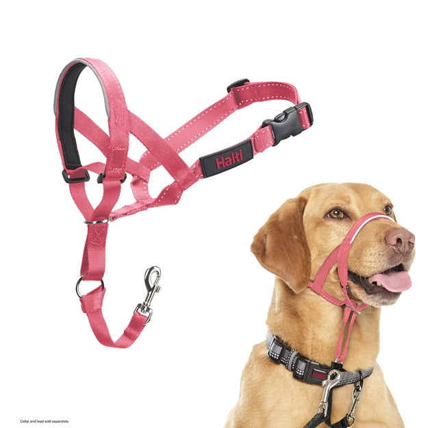 Company of Animals Halti Headcollar Pink