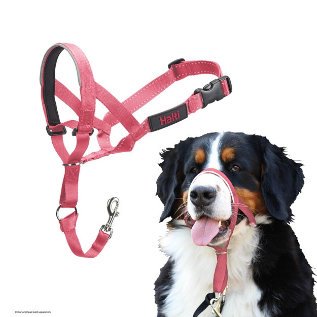 Company of Animals Halti Headcollar Pink