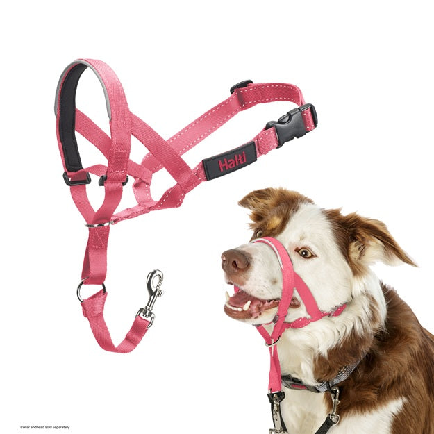 Company of Animals Halti Headcollar Pink