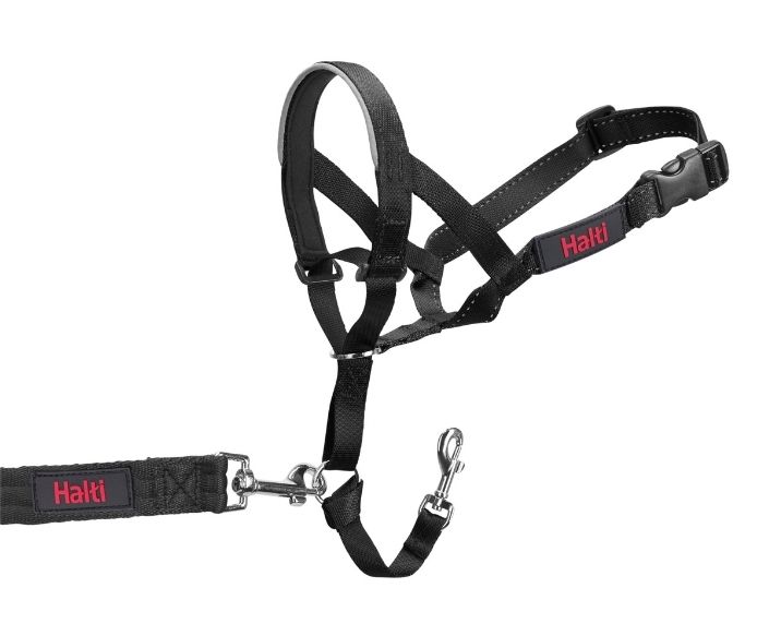 Company of Animals Halti Headcollar Black