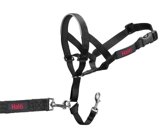 Company of Animals Halti Headcollar Black