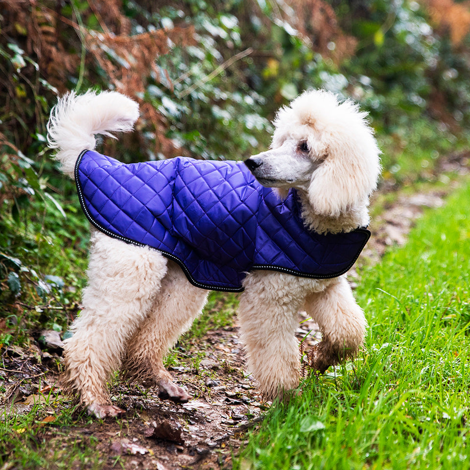 Henry Wag Quilted Dog Jacket Purple