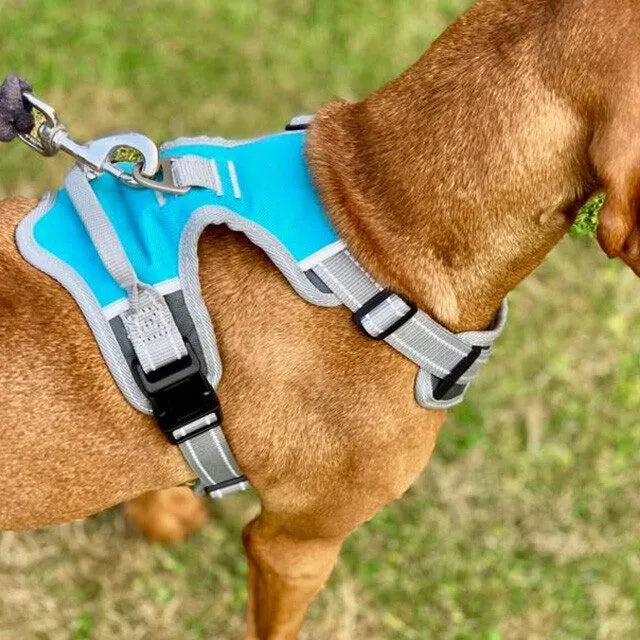 Henry Wag Dog Travel Harness