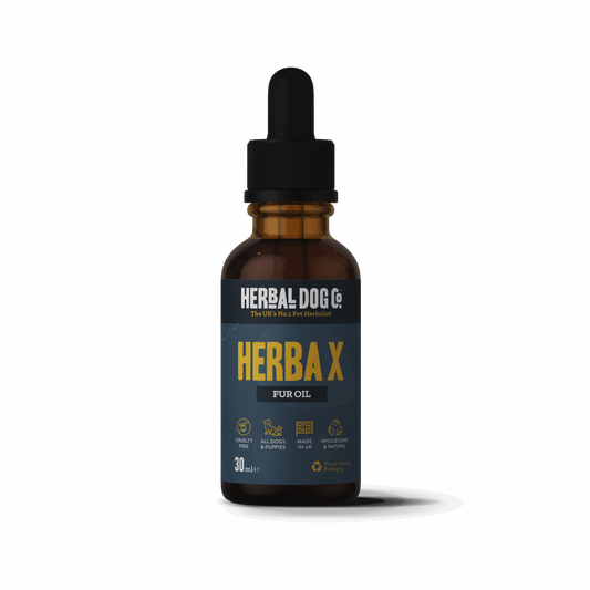 Herbal Dog Co Neem Tonic Flea Spot-On 30ml