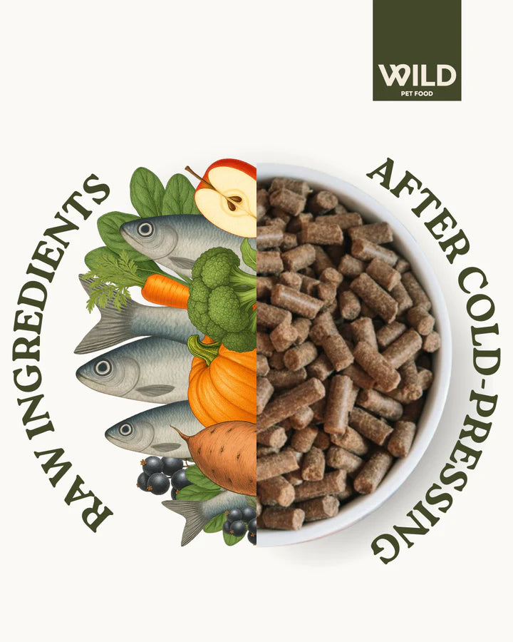 Wild 80:20 Herring Omega+