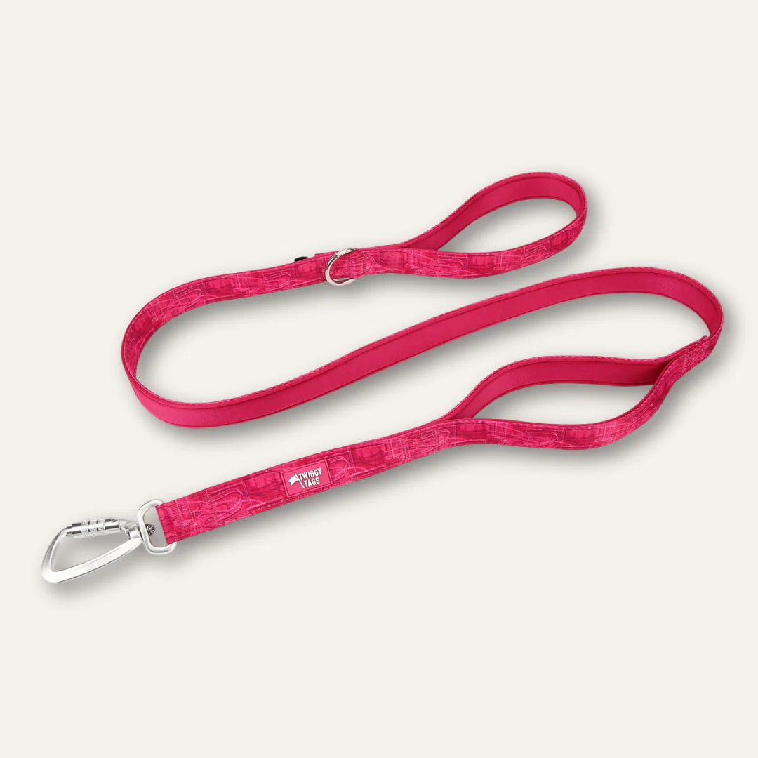 Twiggy Tags Close Control Lead 1.5m - Sakura