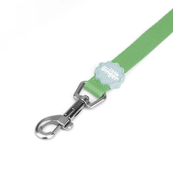Little Ginger Two-Tone Lead Spearmint 120cm