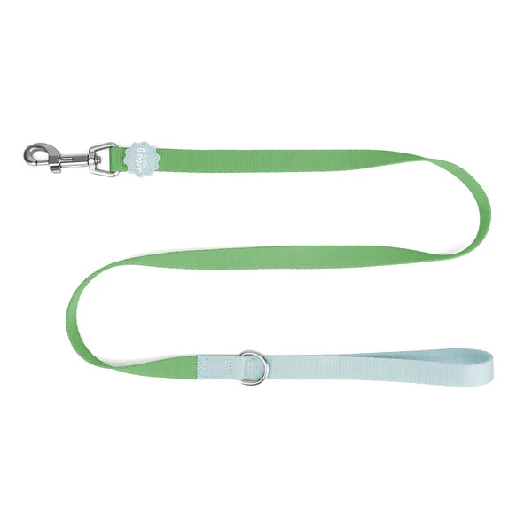 Little Ginger Two-Tone Lead Spearmint 120cm
