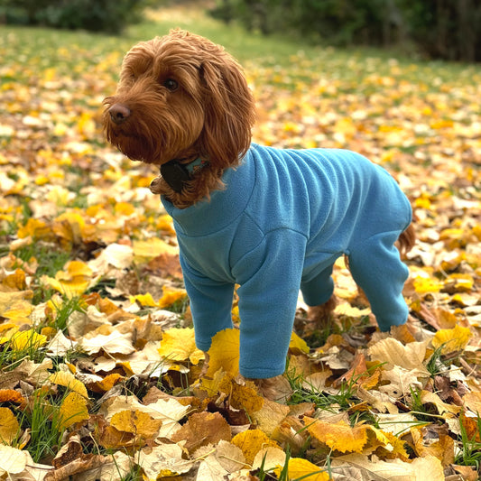 Pet Wiz - Four Legged Dog Fleece Teal