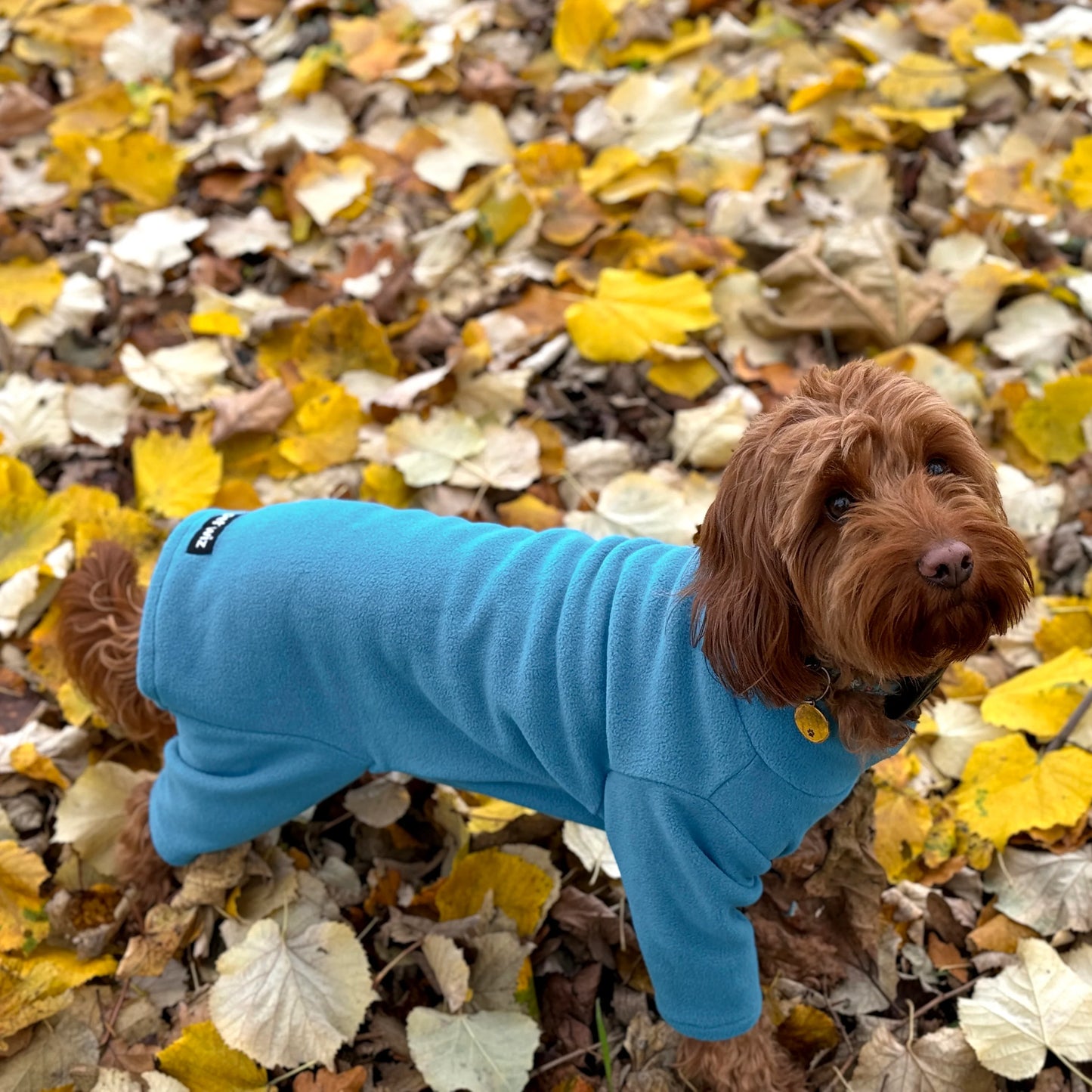 Pet Wiz - Four Legged Dog Fleece Teal