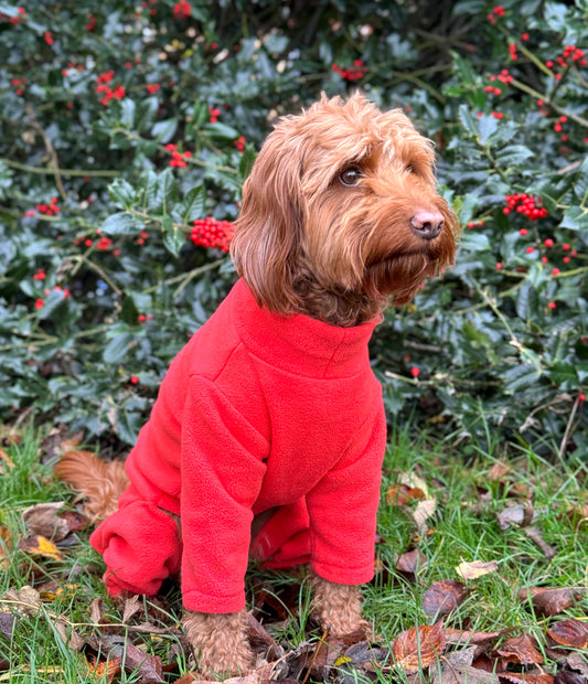 Pet Wiz - Four Legged Dog Fleece Coral