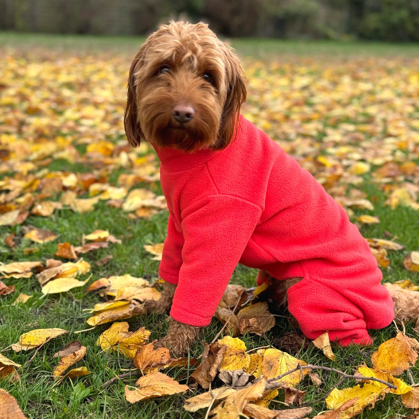 Pet Wiz - Four Legged Dog Fleece Coral