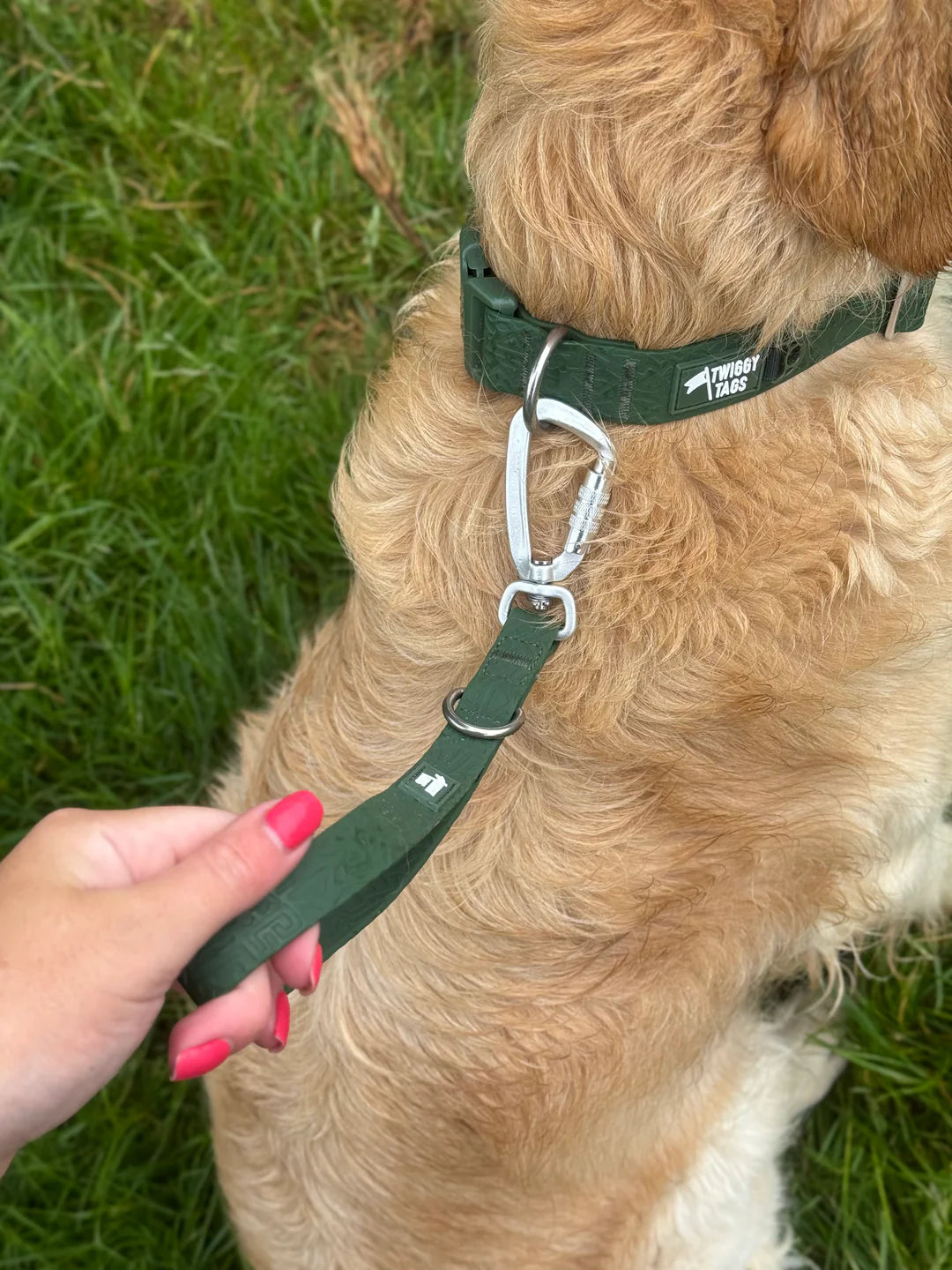 Twiggy Tags Tidal Grab Handle Lead - Fern