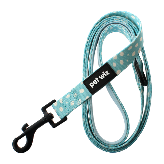 Pet Wiz Dotty About You - Lead