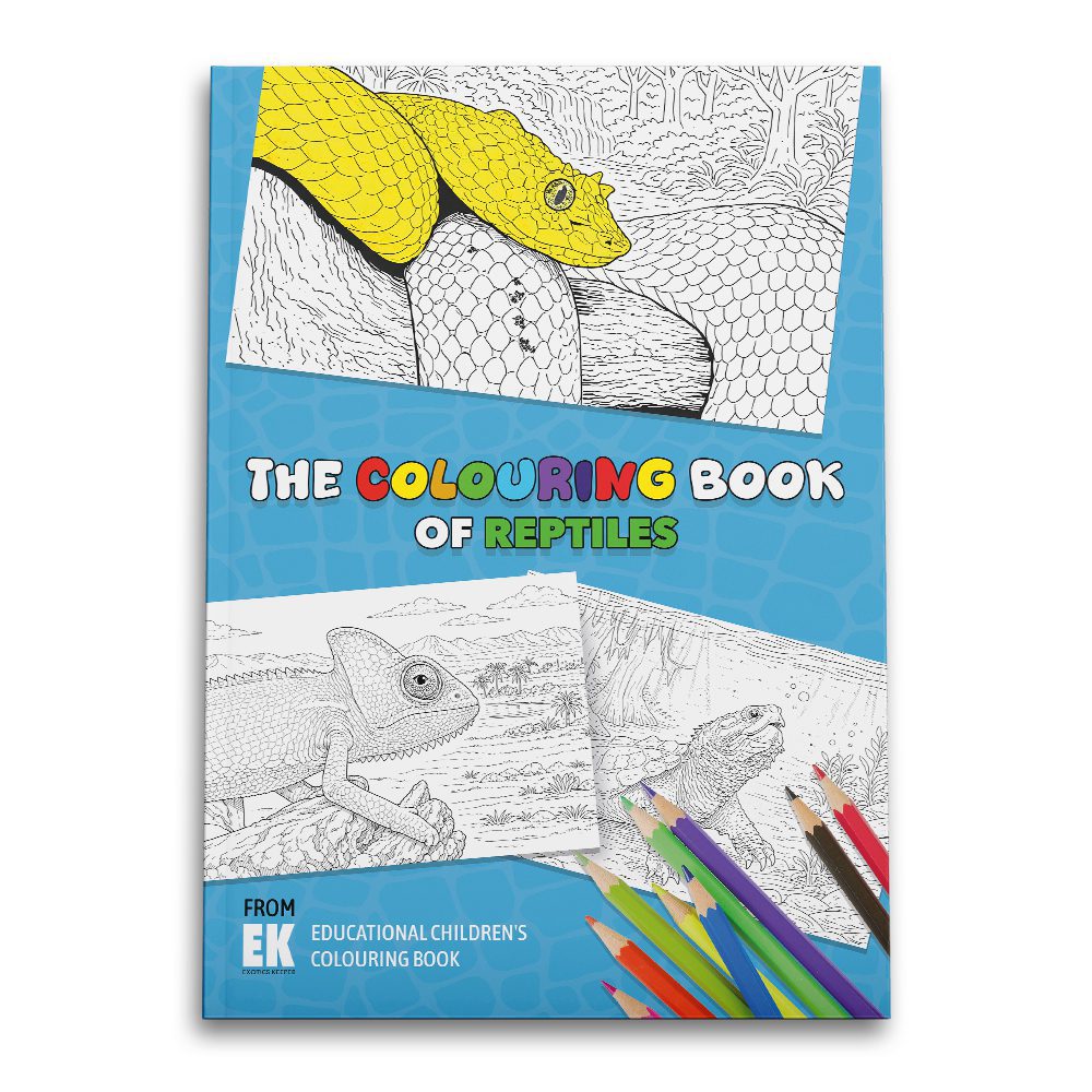 Exotics Keeper Educational Colouring Book - Reptile