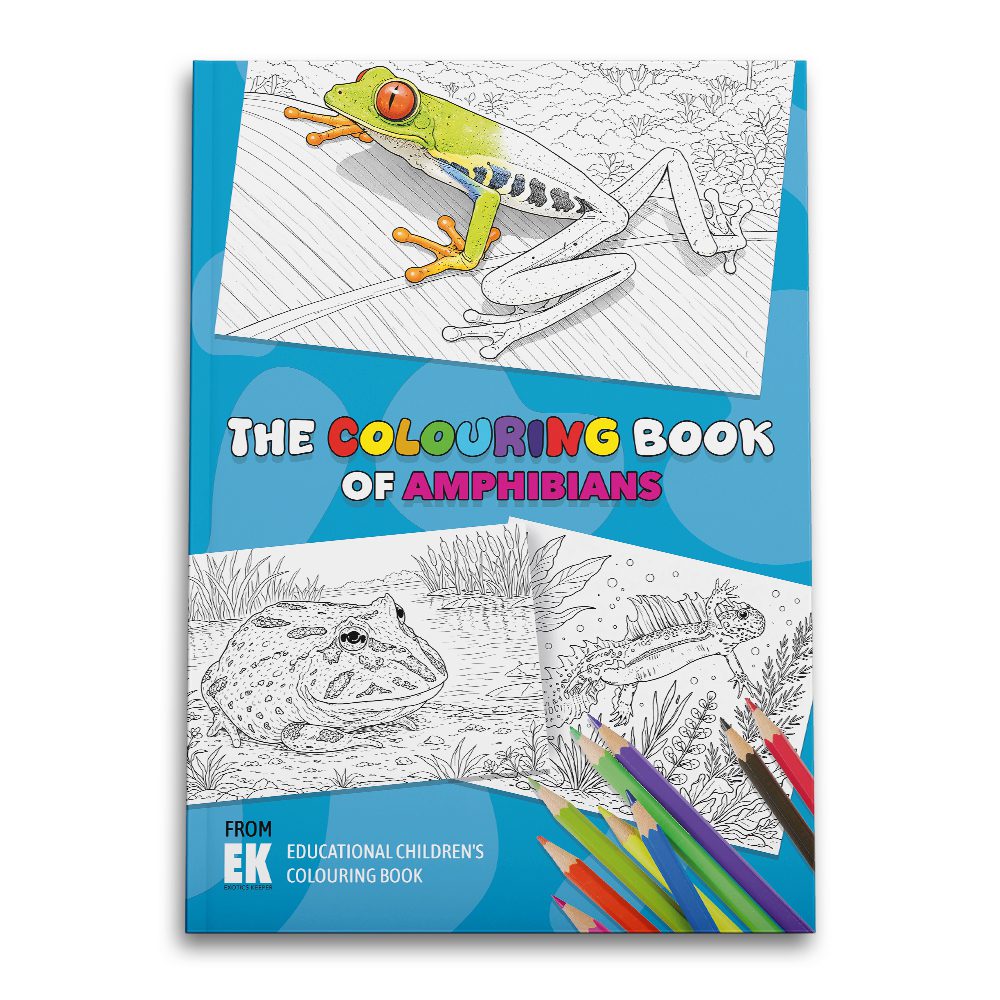 Exotics Keeper Educational Colouring Book - Amphibian