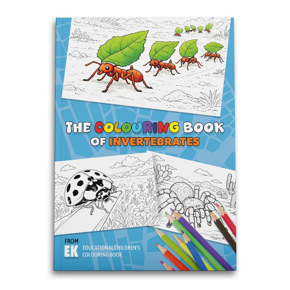 Exotics Keeper Educational Colouring Book - Invertebrates