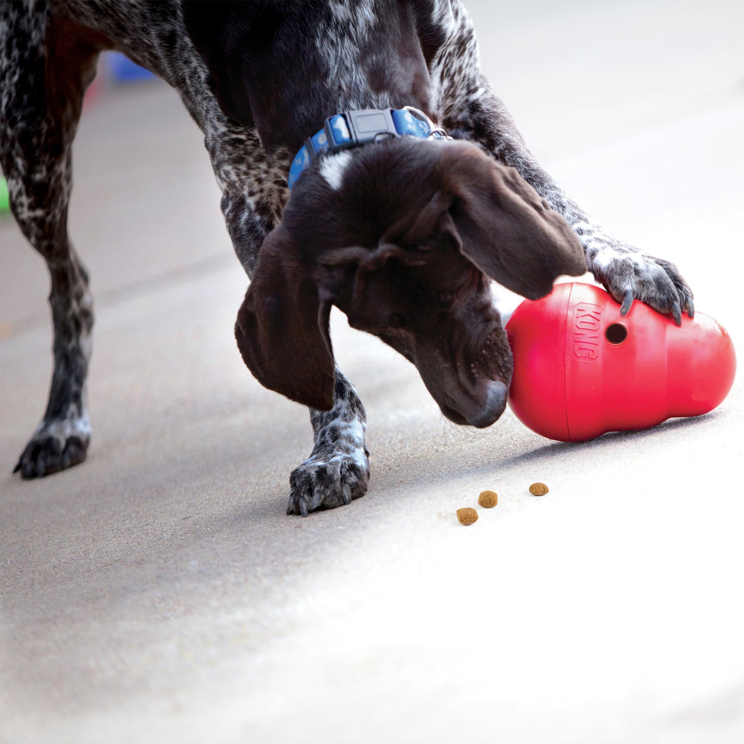 KONG Treat Wobbler