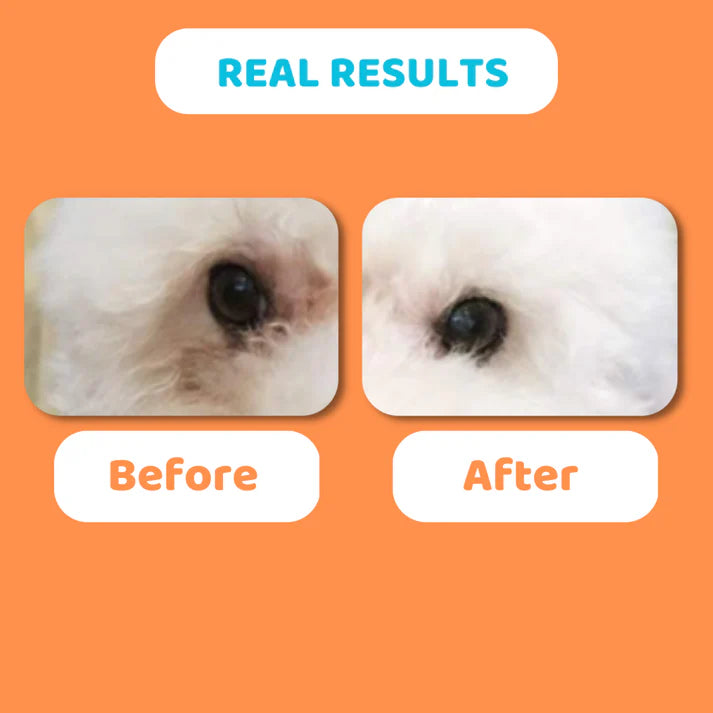 Dogslife Anti-Bacterial Eye Drops 237ml