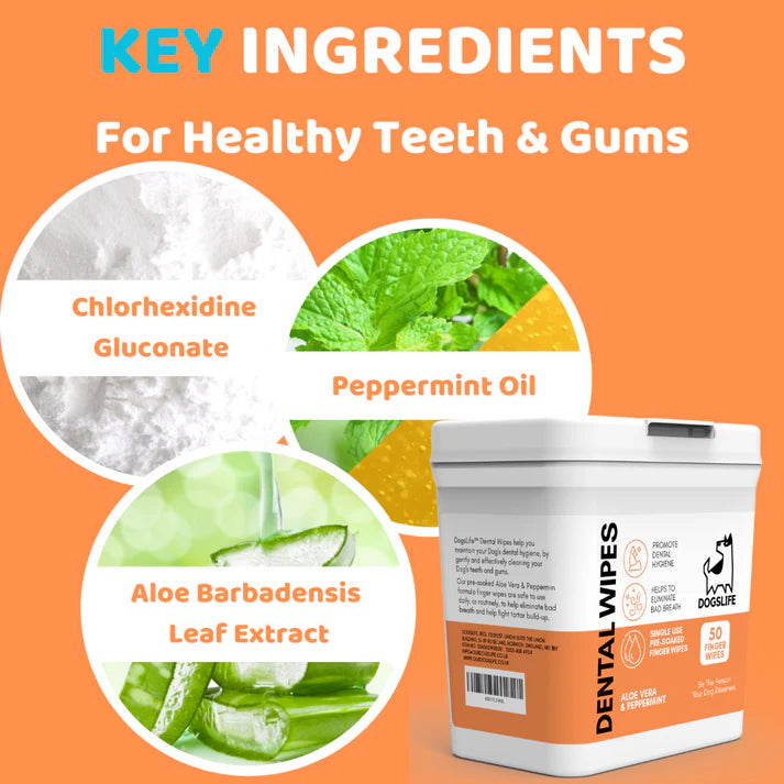 Dogslife Dental Wipes - 50 Pack