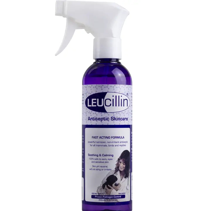 Leucillin Antiseptic Spray