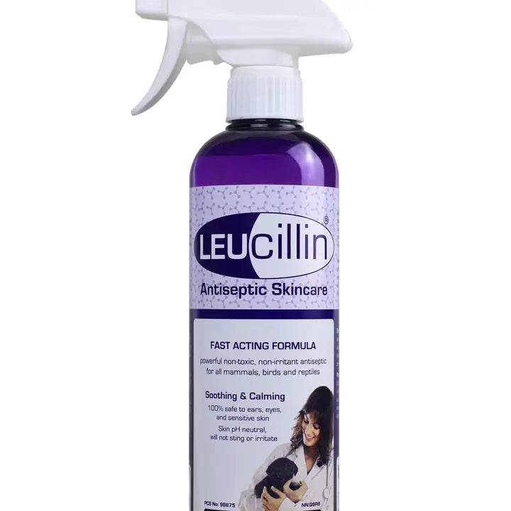 Leucillin Antiseptic Spray