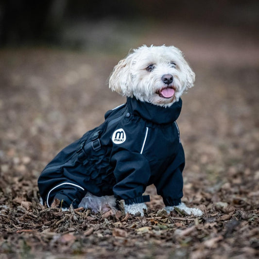 Mikki Doodles Coat Black