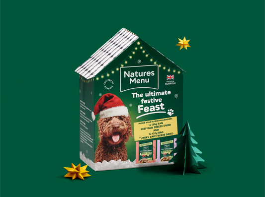 Natures Menu Festive Feast - Christmas Dinner 2x120g