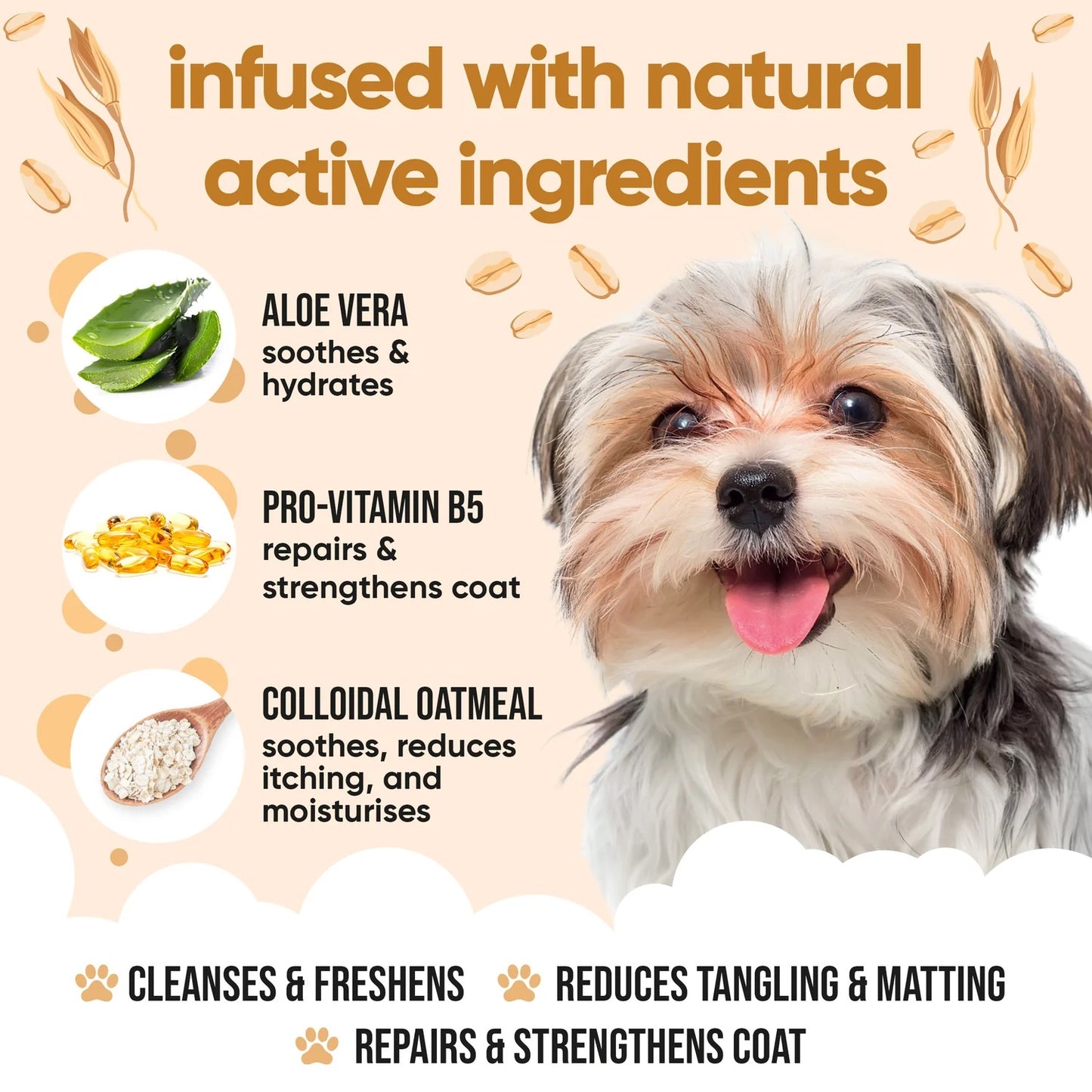 Buddycare Dog Shampoo Oatmeal 500ml