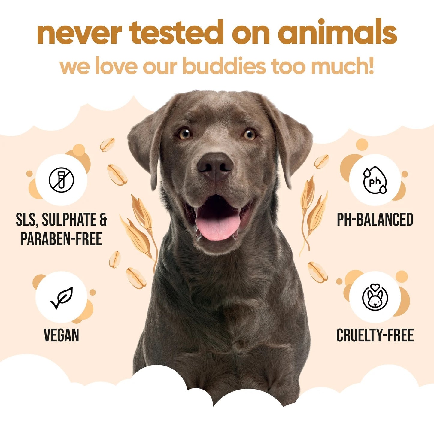 Buddycare Dog Shampoo Oatmeal 500ml