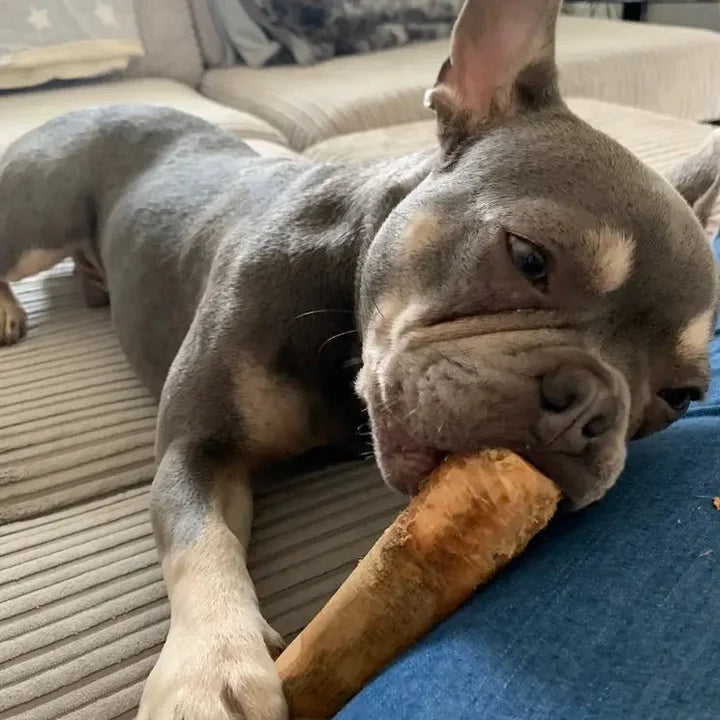 Second Nature Olive Wood Chew