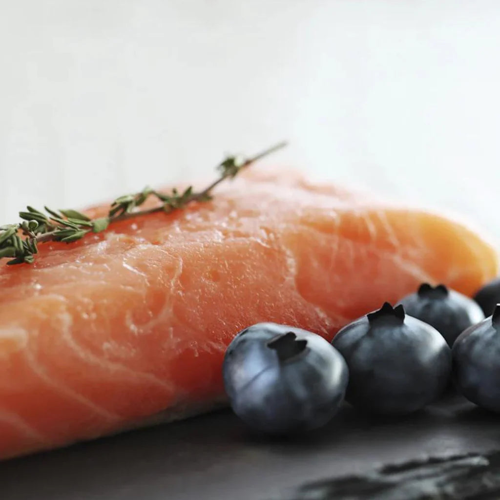 Orygo Salmon with Blueberry Dog Wet 400g