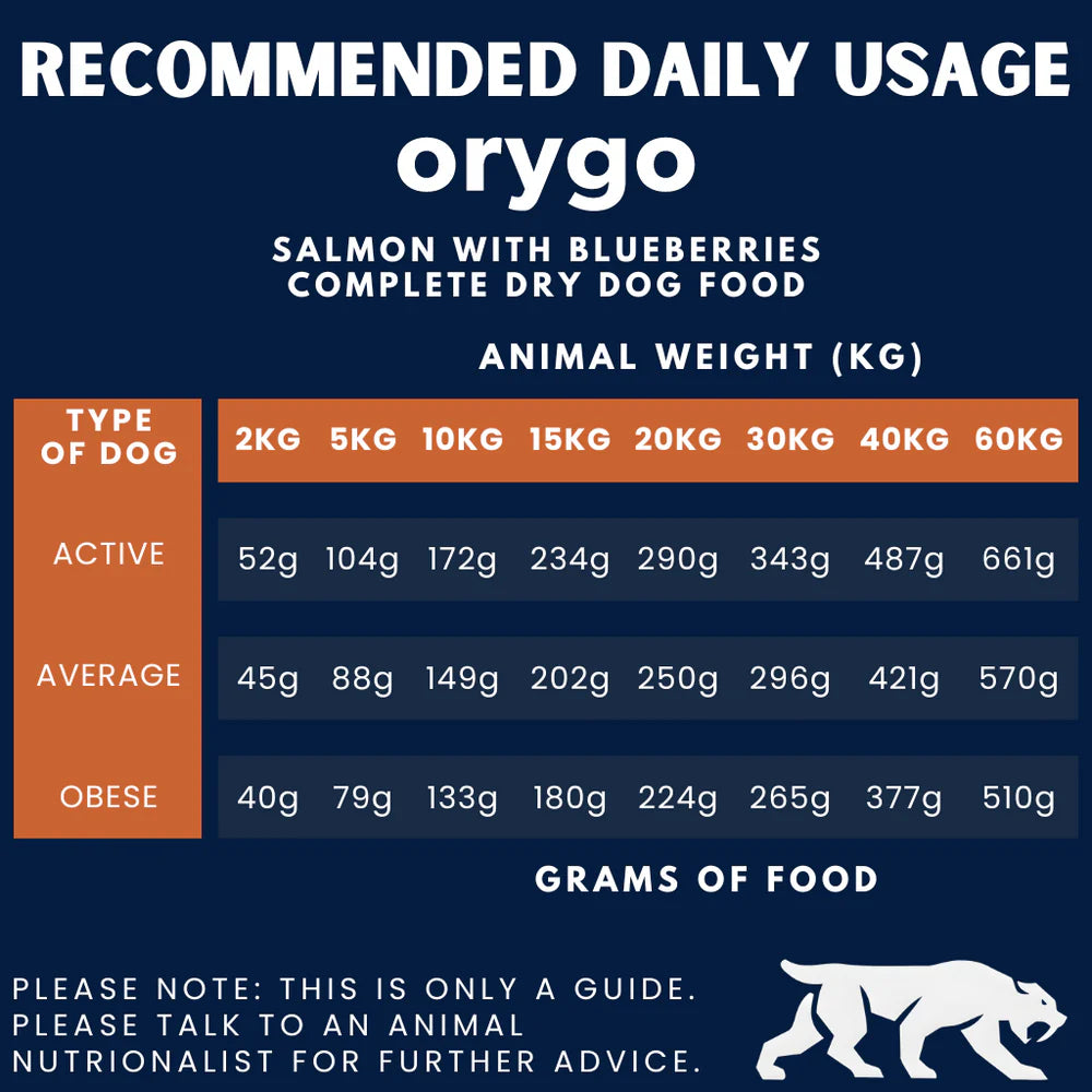 Orygo Fresh Salmon with Blueberries 8kg