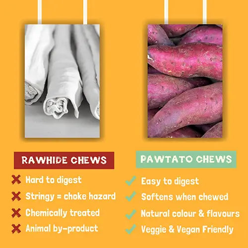 Pawtato Blueberry Sticks 120g