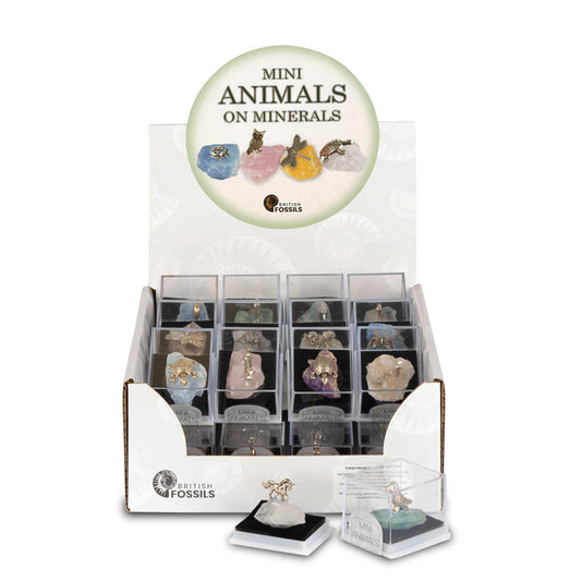 British Fossils - Mini Metal Animals on Minerals