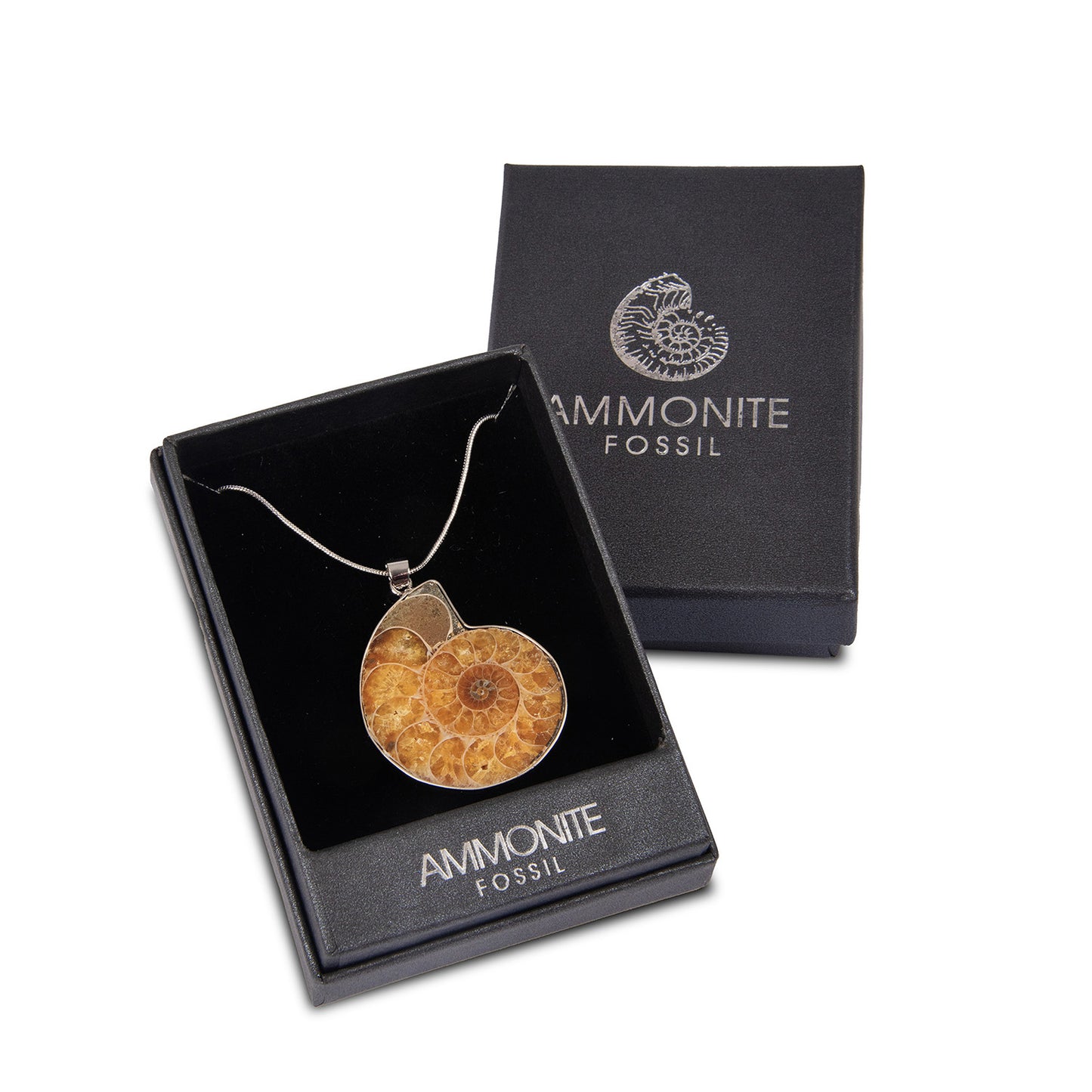British Fossils - Fossil Ammonite Pendant