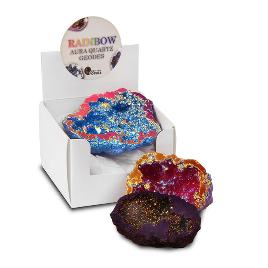 British Fossils - Rainbow Aura Quartz Geodes