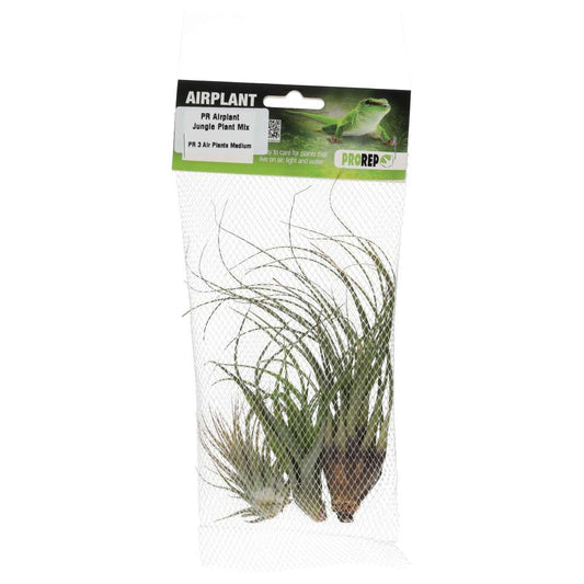 ProRep Airplant Jungle Plant Mix (3x Medium)