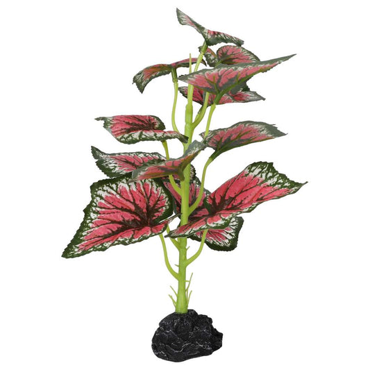 ProRep Terrestrial Begonia Salsa 27cm