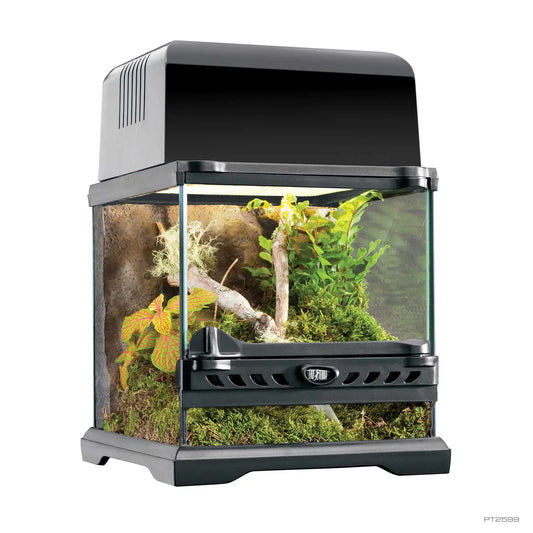 Exo Terra Natural Terrarium Nano Wide - 20x20x20cm