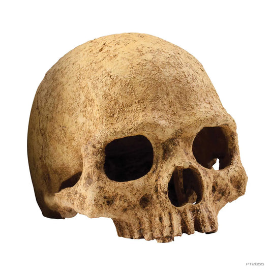 Exo Terra Primate Skull Hide
