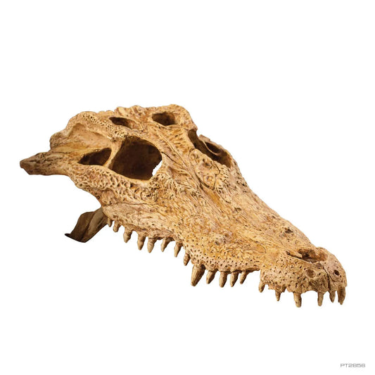 Exo Terra Crocodile Skull Hide