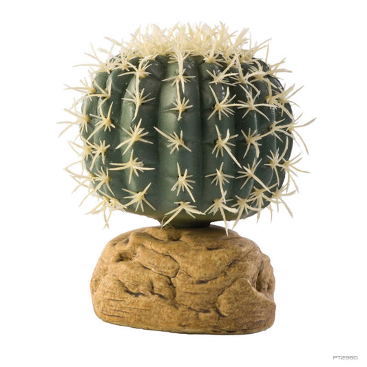 Exo Terra Barrel Cactus Small