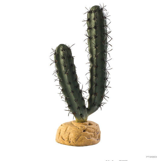 Exo Terra Finger Cactus